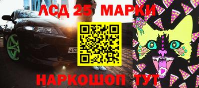 прущие грибы Кандалакша