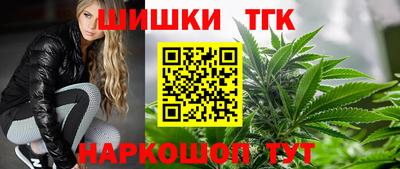 прущие грибы Кандалакша