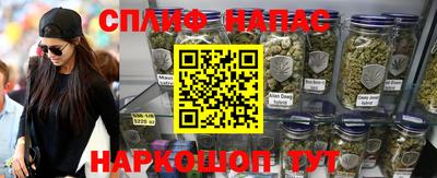 прущие грибы Кандалакша