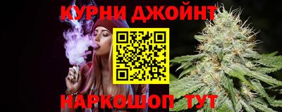 прущие грибы Кандалакша