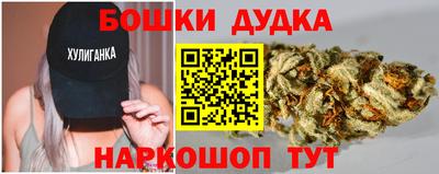 прущие грибы Кандалакша