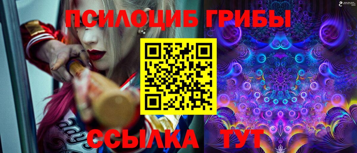 Псилоцибиновые грибы Psilocybine cubensis Нарьян-Мар