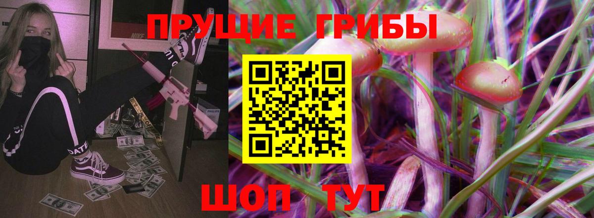 Нарьян-Мар  где найти наркотики  Вход с VPN  Галлюциногенные грибы Psilocybe 